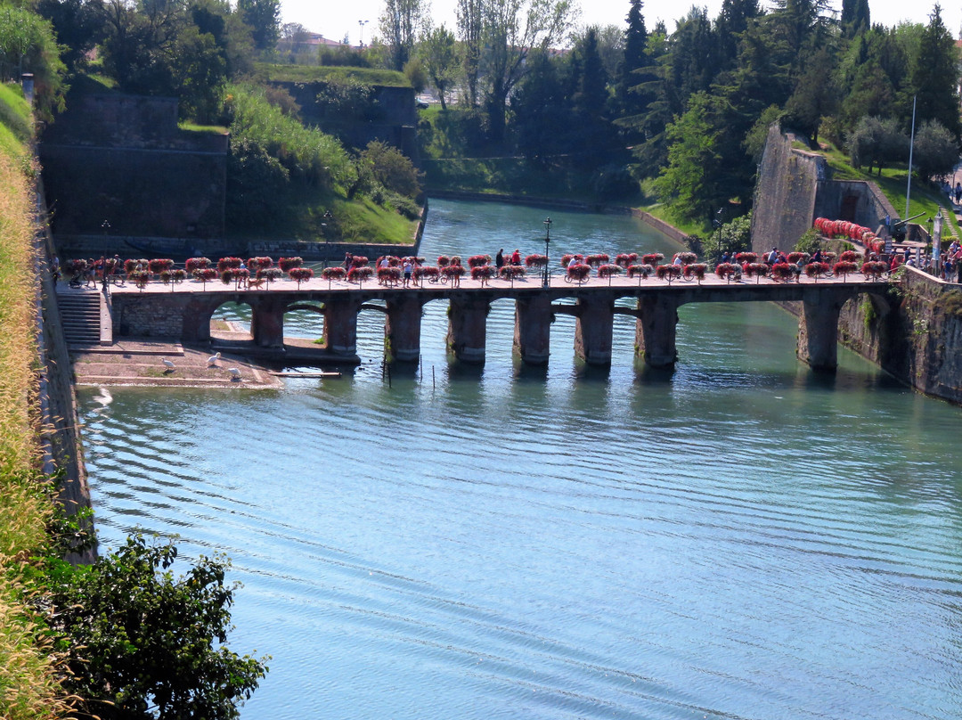 Il Ponte dell'Arte景点图片