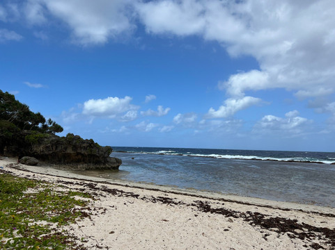 Raea's Taxi & Guided Tour Services-Tongatapu Island必去景点