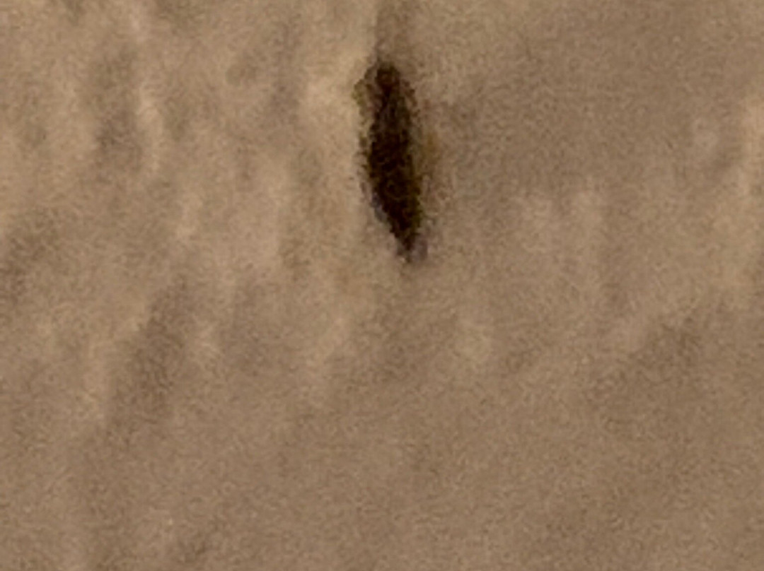 伍尔夫酒店主图