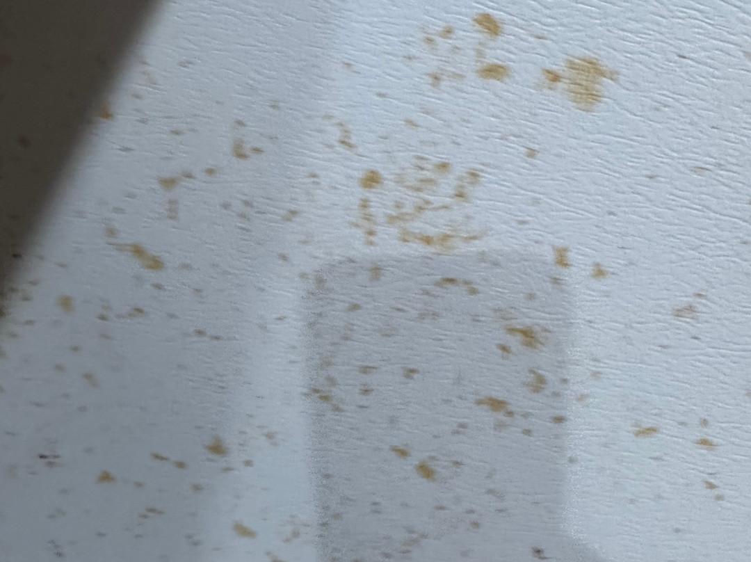 WoodSpring Suites Richmond Fort Lee主图