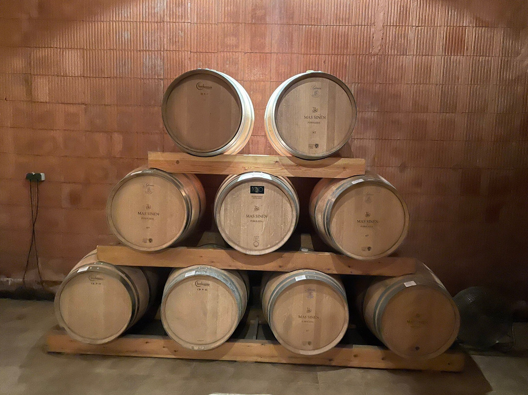 Celler Burgos Porta景点图片