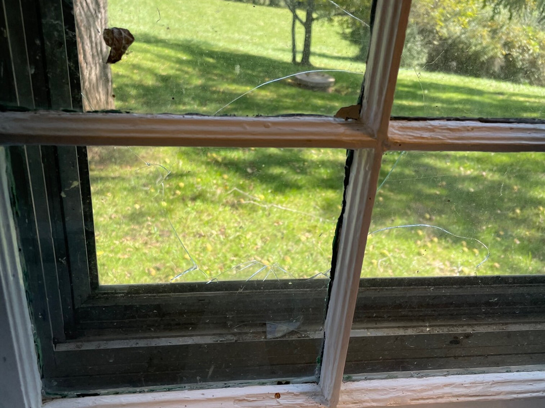 Briar Patch Bed & Breakfast Inn主图