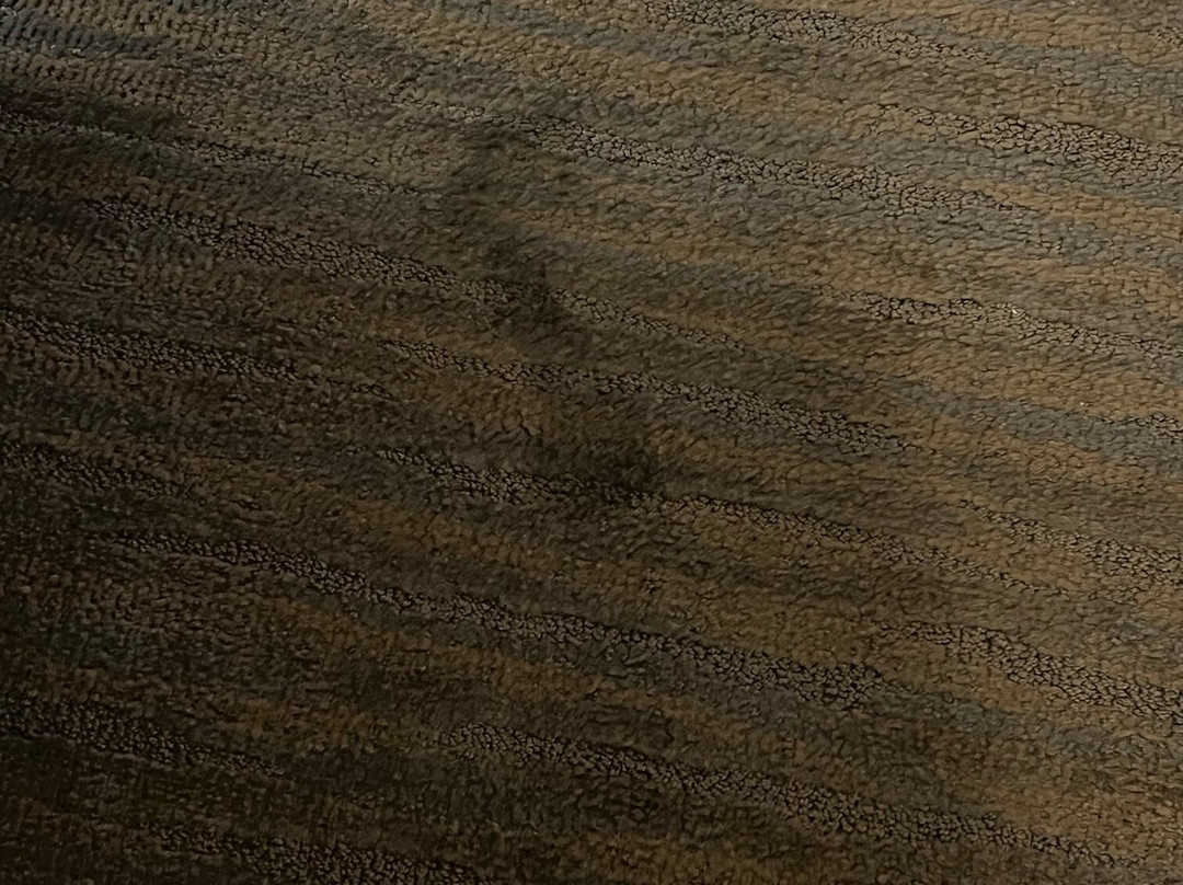 Hampton Inn Batavia主图