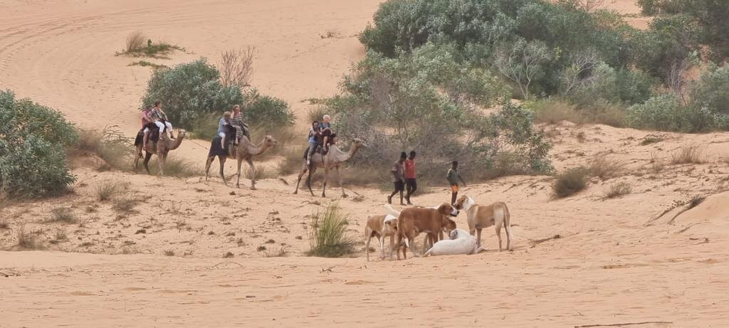 Lompoul Desert景点图片