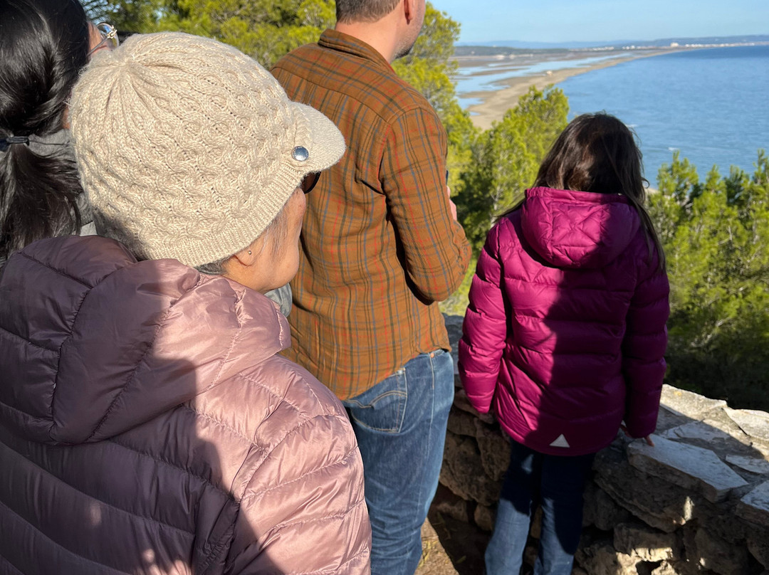 Vin4 Heures Tour-La Palme必去景点