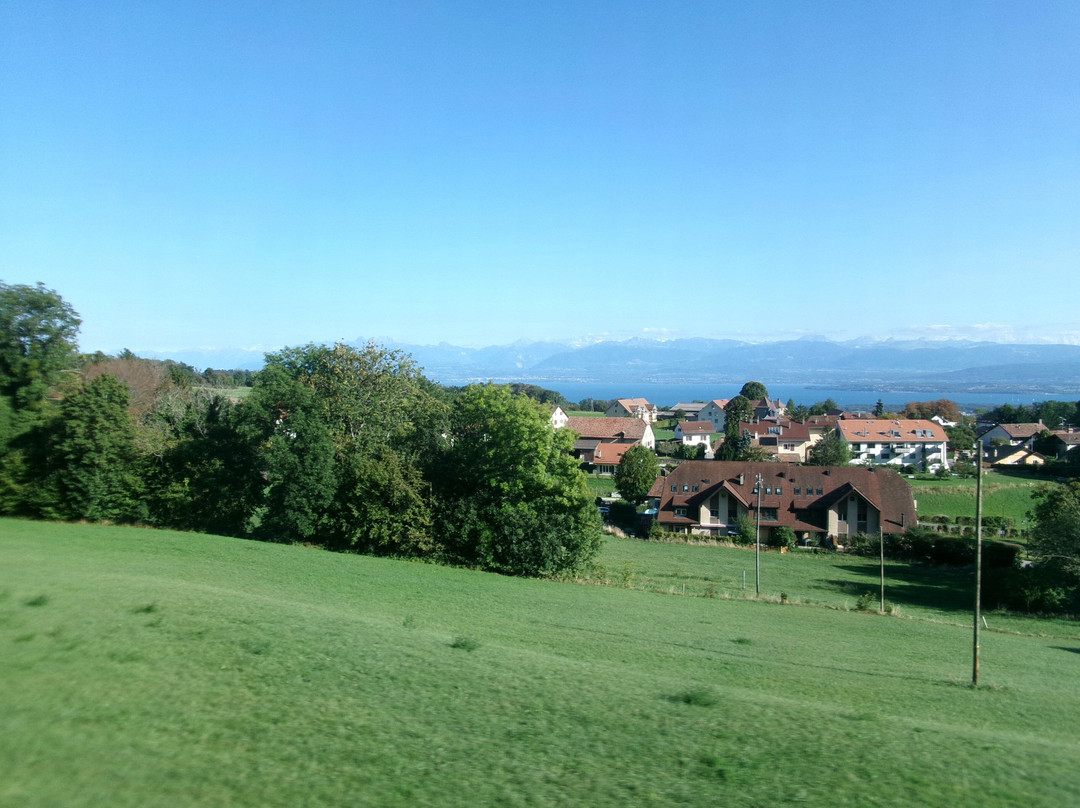 Nyon St-Cergue La Cure Railway-尼永必去景点