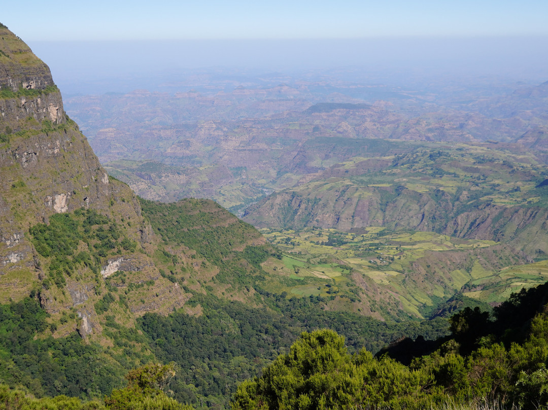 Simien Mountain Tours景点图片