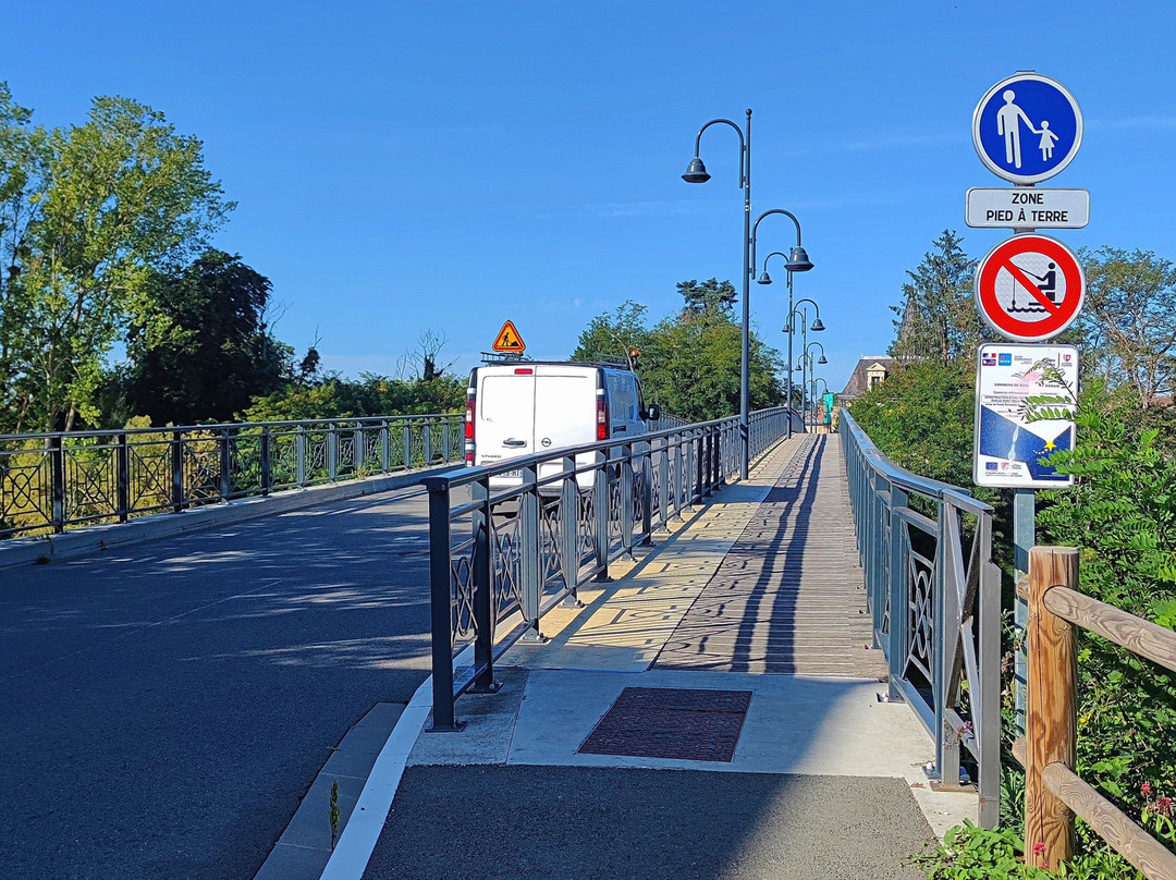 Pont de Dangé-Saint-Romain景点图片