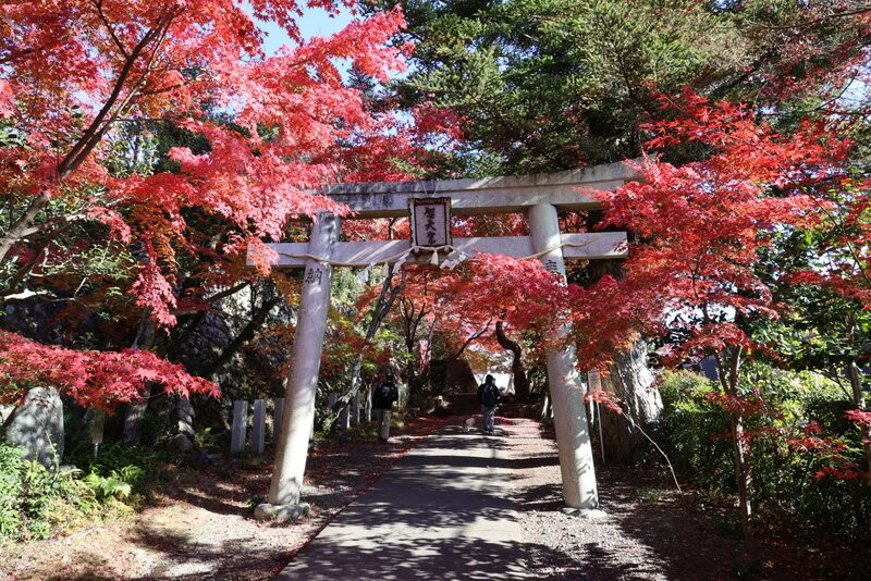 Shotengu Saikoji Temple-美浓市必去景点