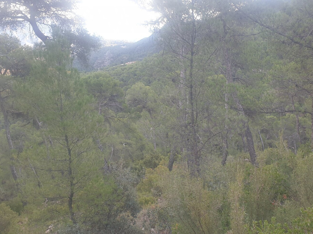 Alto de las Chimeneas景点图片