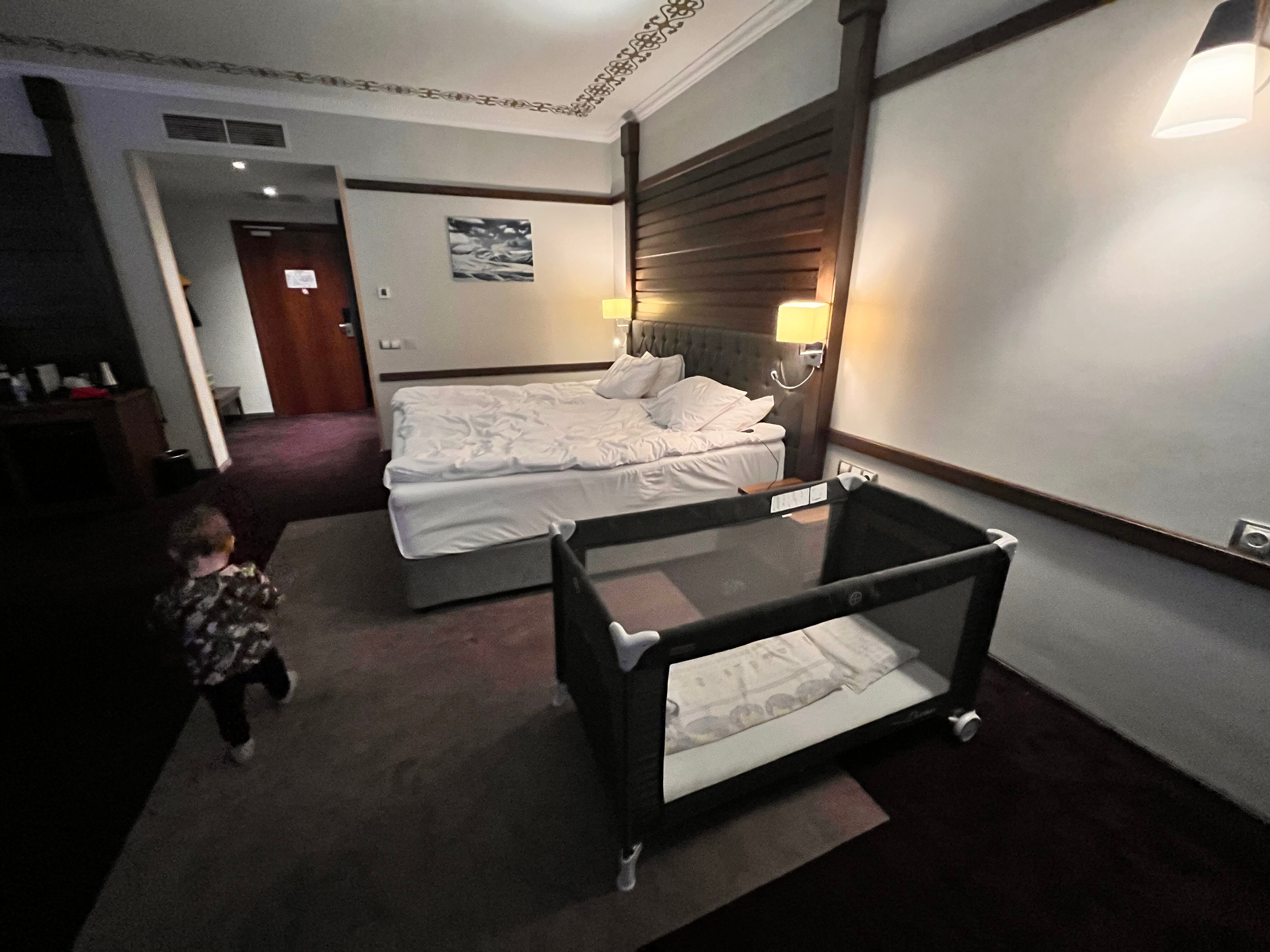 Hot Springs Medical & Spa Hotel-客卧