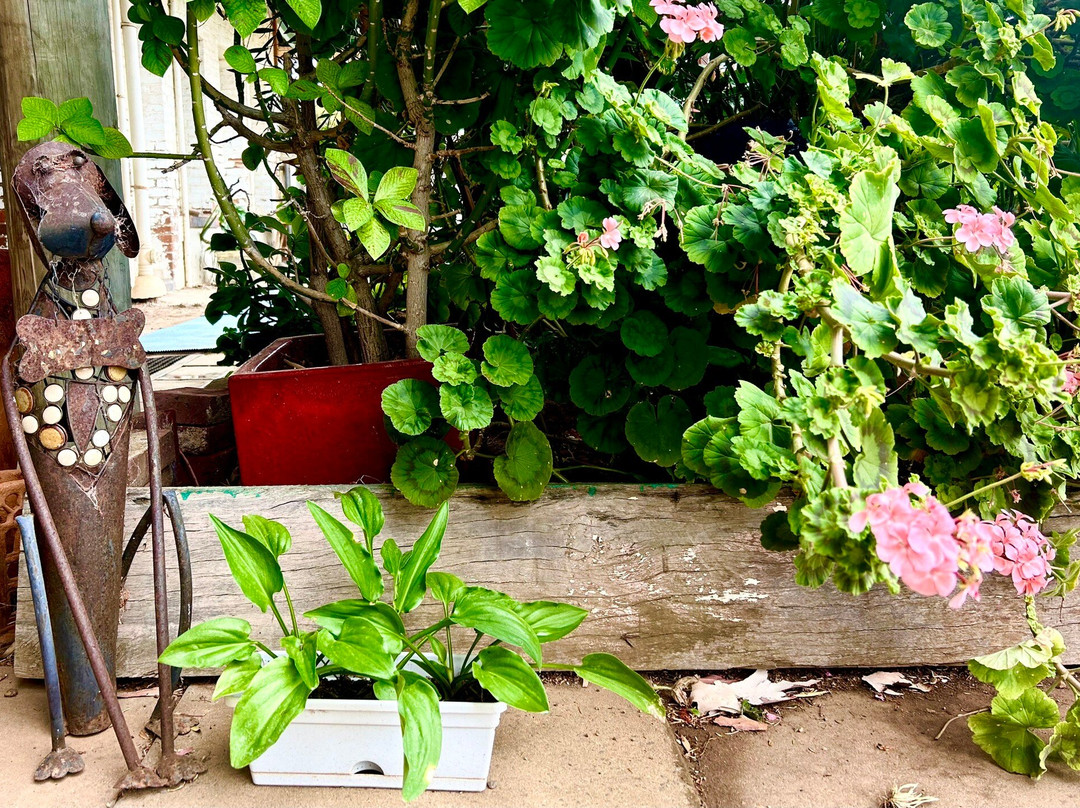 Grande Olde Dumbleyung Inn主图