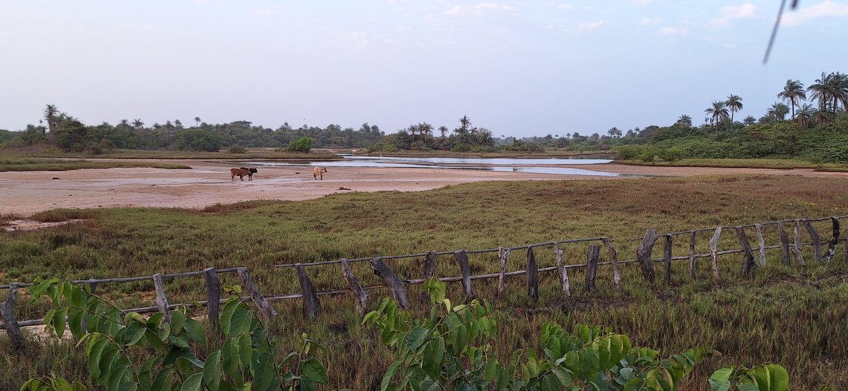 Esperanto Lodge-浴室