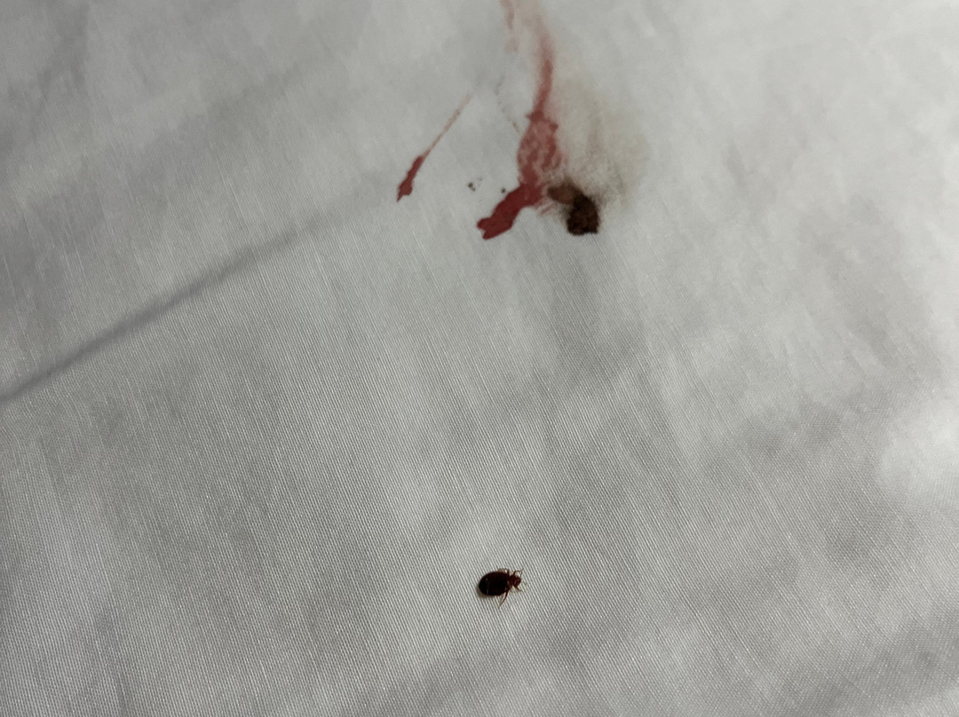 Ravena Cassino Hotel主图