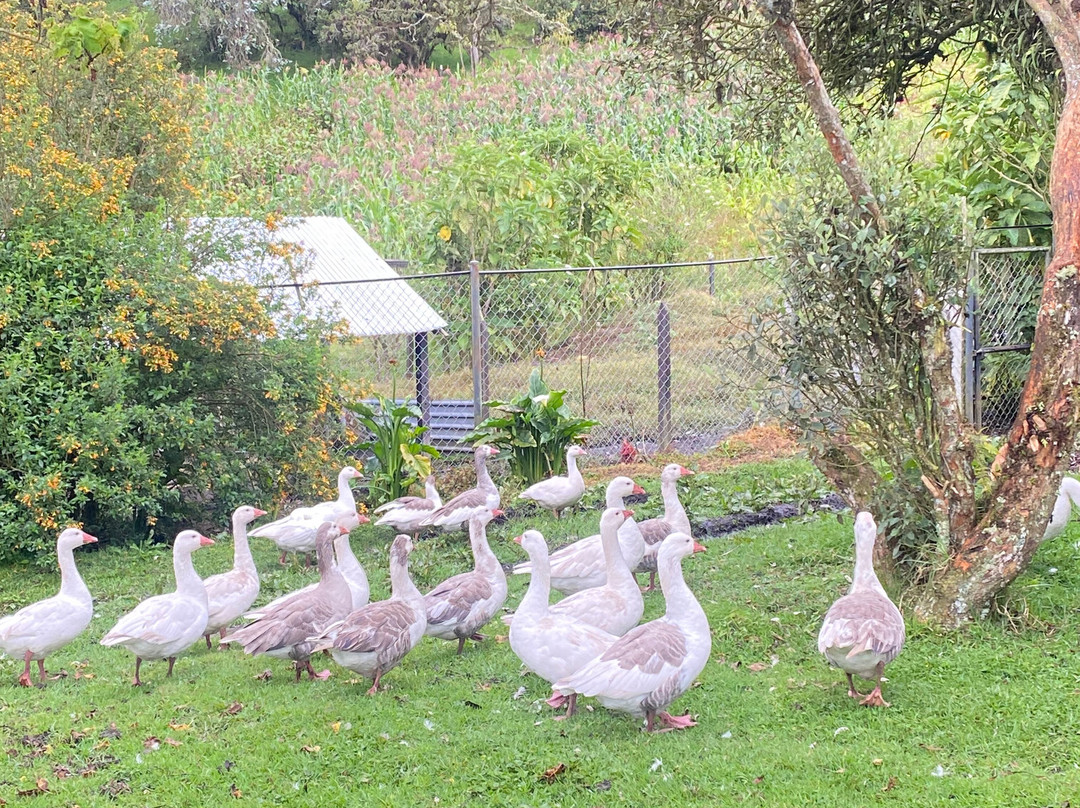 La Gloria Reserva Forestal主图