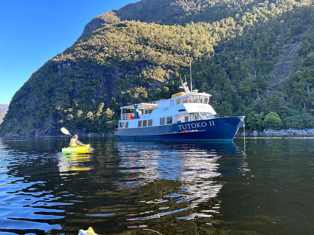 Fiordland Expeditions - Doubtful Sound Overnight Cruises & Multi Day Charters景点图片