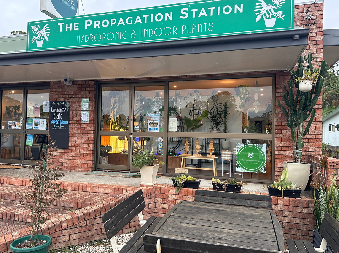 The Propagation Station景点图片