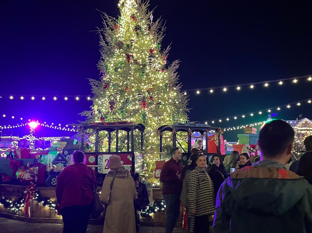 Schellville-里霍博斯比奇必去景点