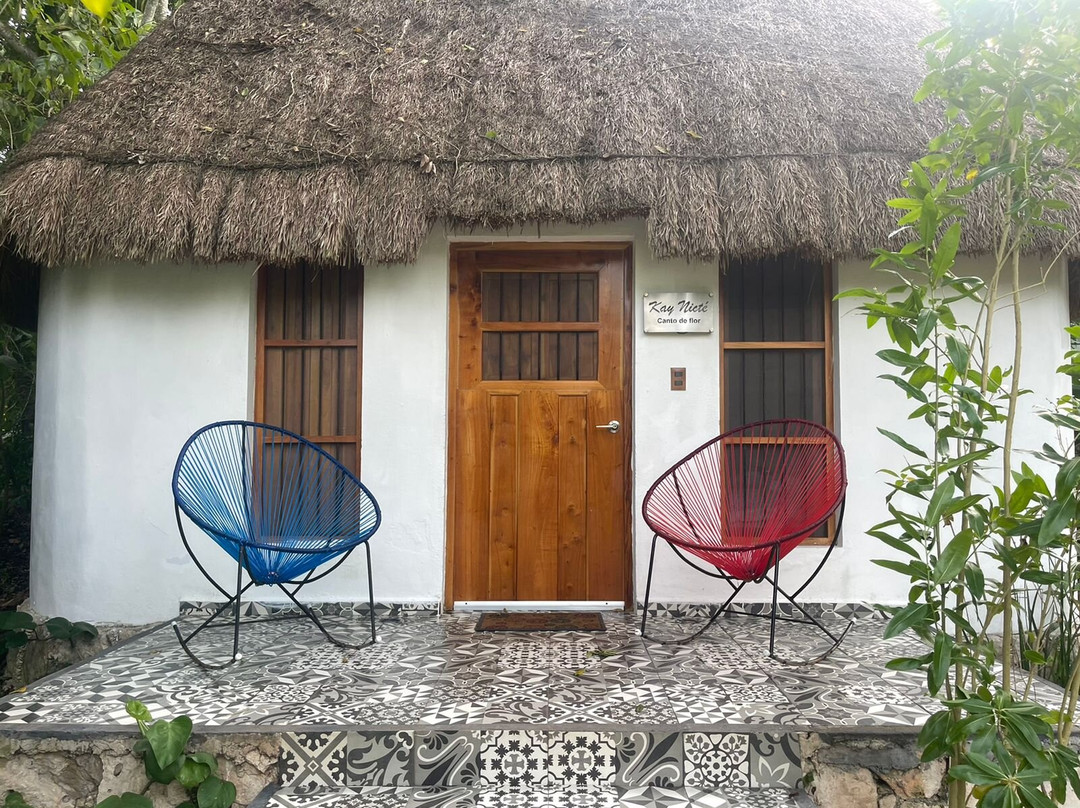 Hotel Boutique Cenote San Ignacio主图