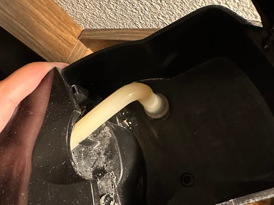 Hampton Inn & Suites Gainesville主图