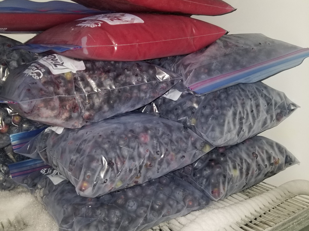 DiMeo Farm & Blueberry Plants Nursery景点图片