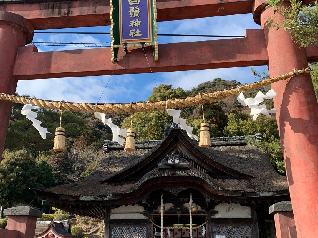 白须神社景点图片