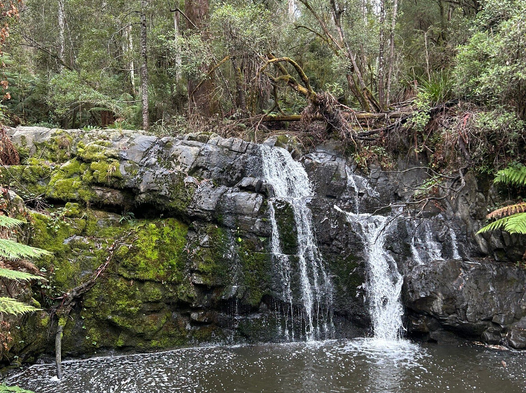 Lilydale Falls景点图片