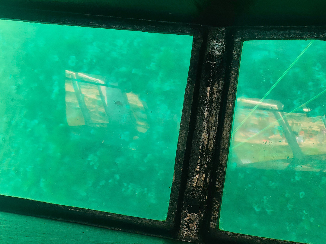 Amigo's Boat Trips-休达德亚必去景点