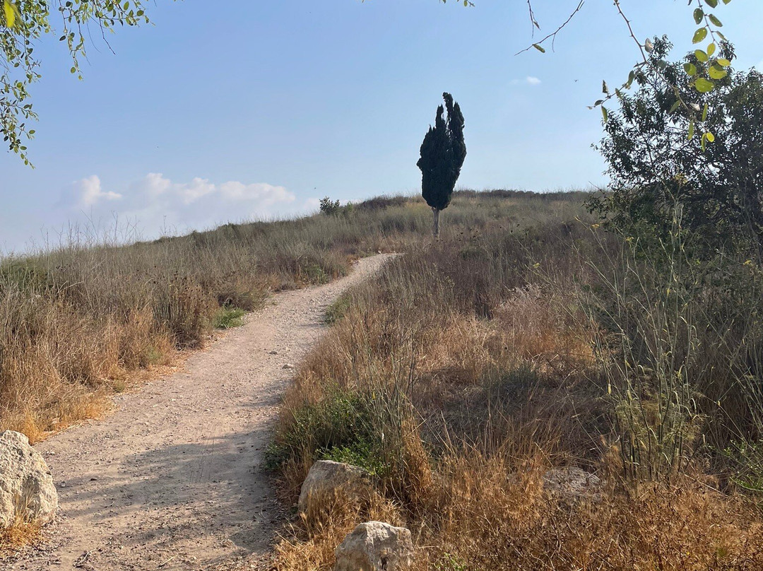 Atlantis Travel - Day Tours-Bat Yam必去景点