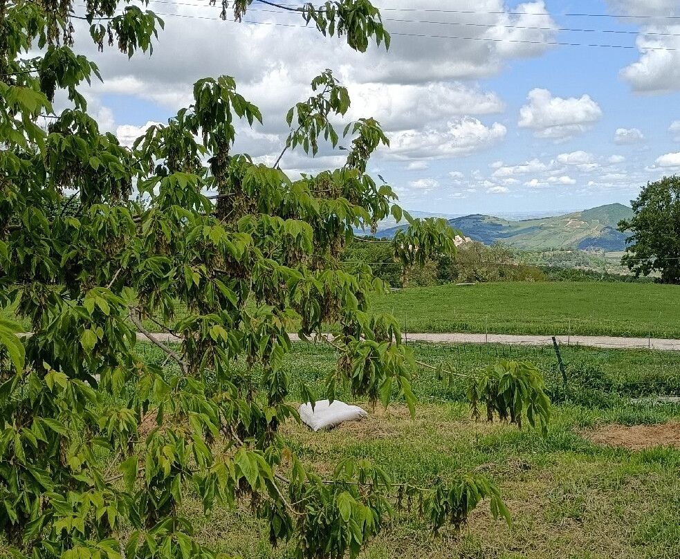 Masseria Salecchia主图