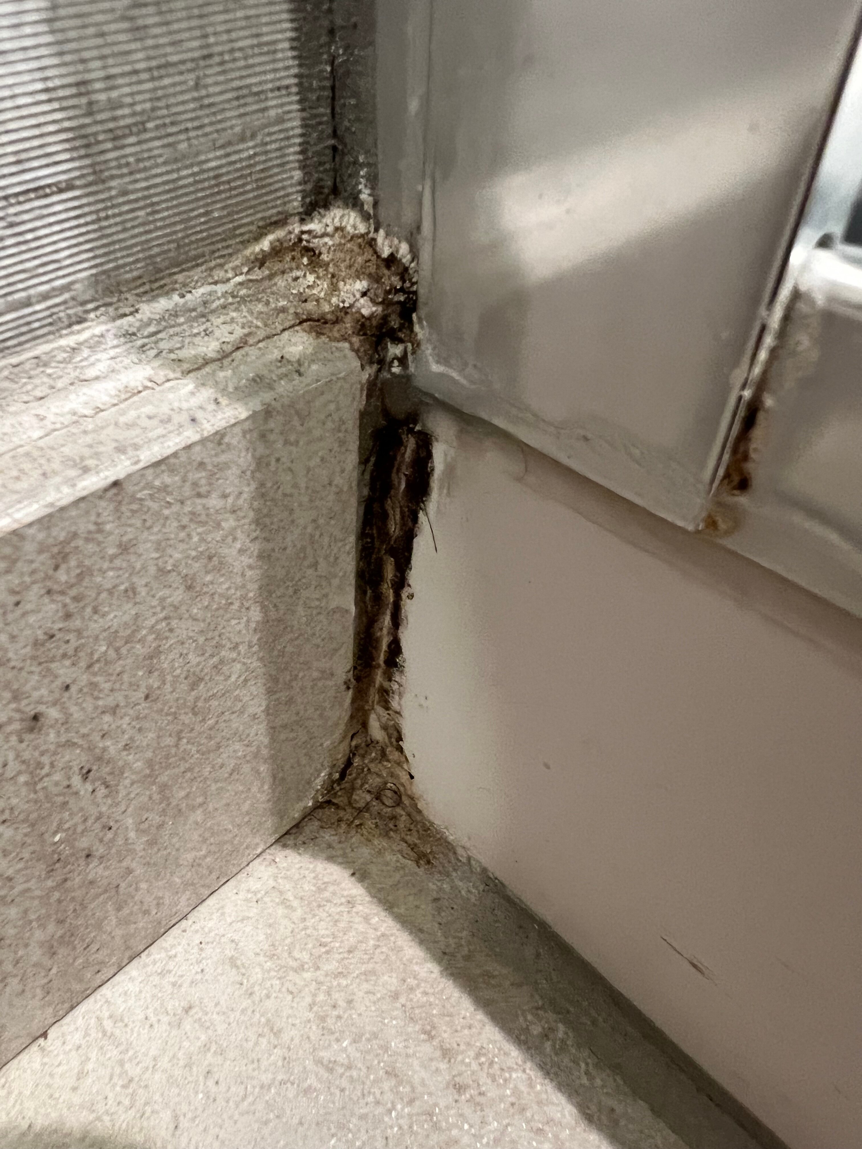 米尔皮塔斯矽谷酒店大使馆套房-浴室