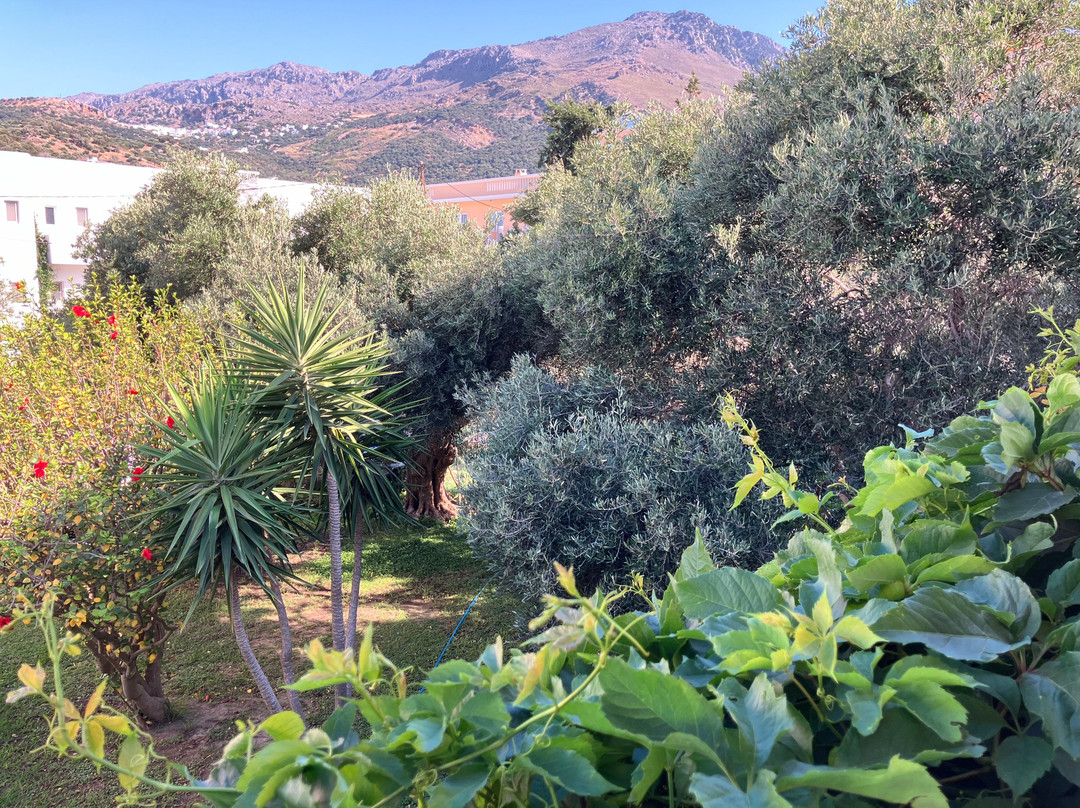 Porto Plakias & Spa主图