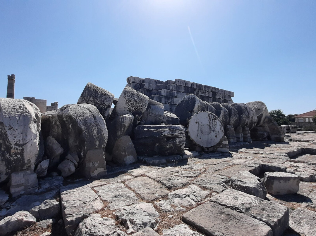 Temple of Apollo景点图片