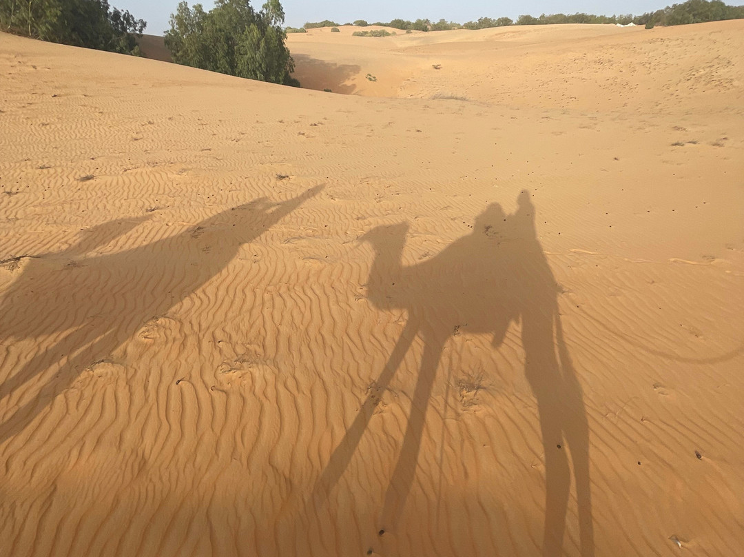 Excursions Sénégal Marcel Riu Baobab景点图片