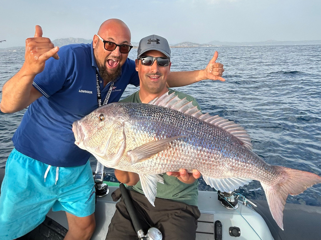 Stefano Adami-帕劳必去景点