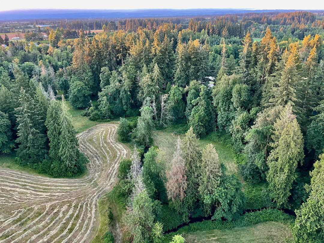 Portland Rose Hot Air Balloons-Aurora必去景点