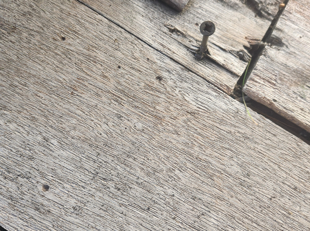 Edgewood Resort主图