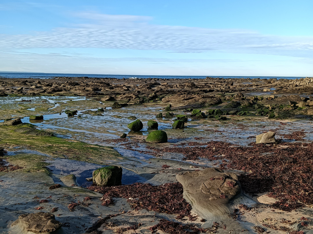 Dinosaur Dreaming-Inverloch必去景点