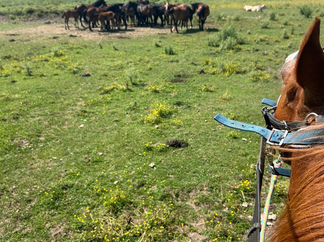 Ranch Brionna-Castel di Sangro必去景点