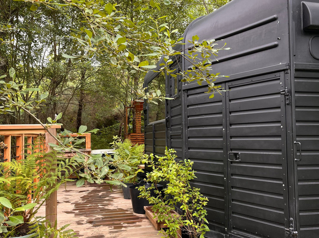 Nowhere Sauna-Crieff必去景点