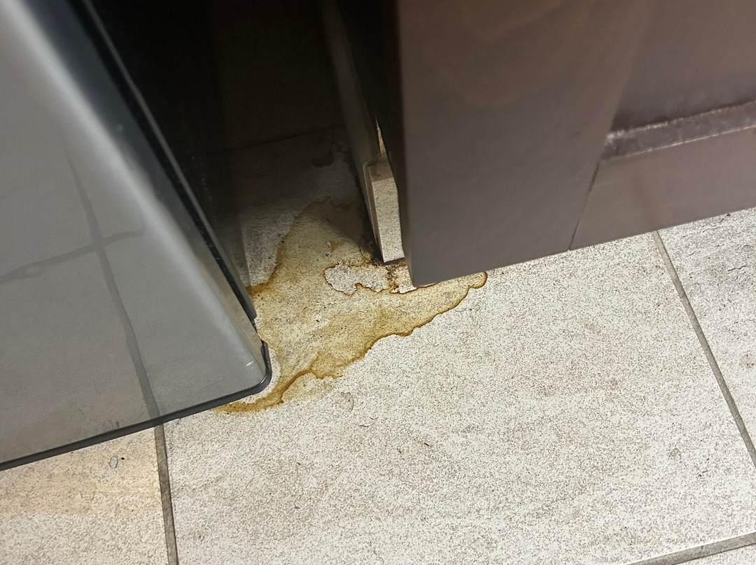 DoubleTree by Hilton Burlington Vermont主图