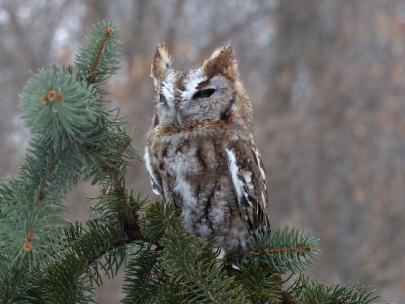 Howell Nature Center-Howell必去景点