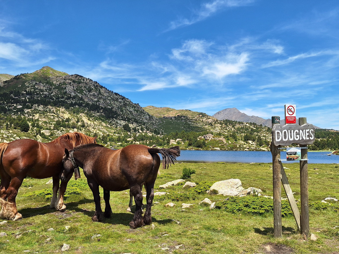 Lac des Bouillouses景点图片