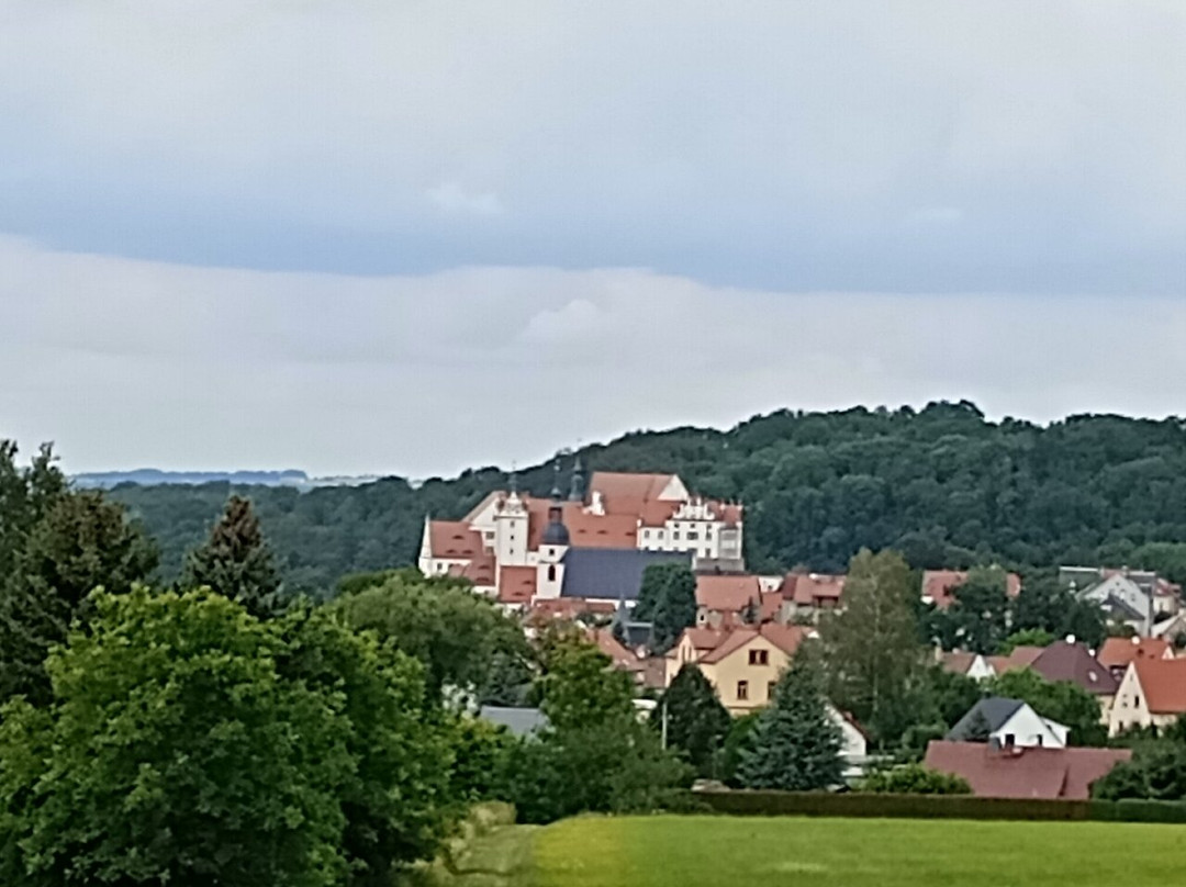 Heimatturm Colditz景点图片