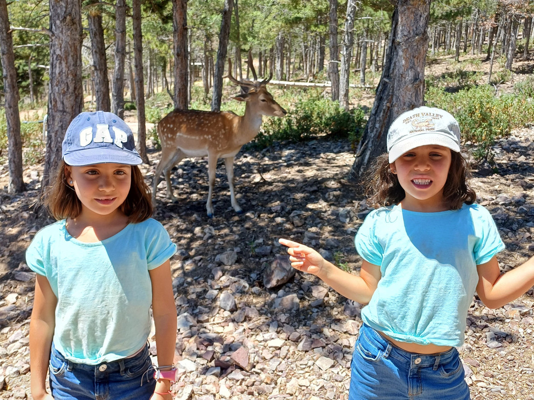Parque de Fauna La Maleza景点图片