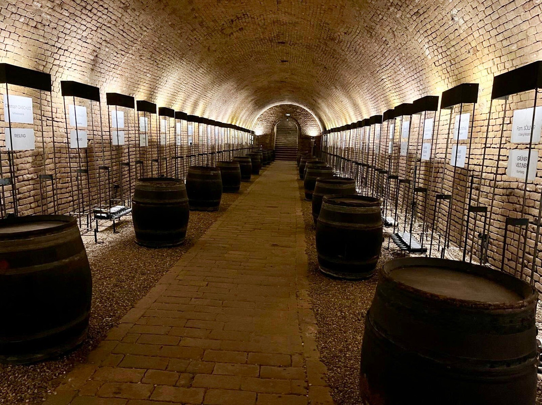 Alter Winzerkeller主图