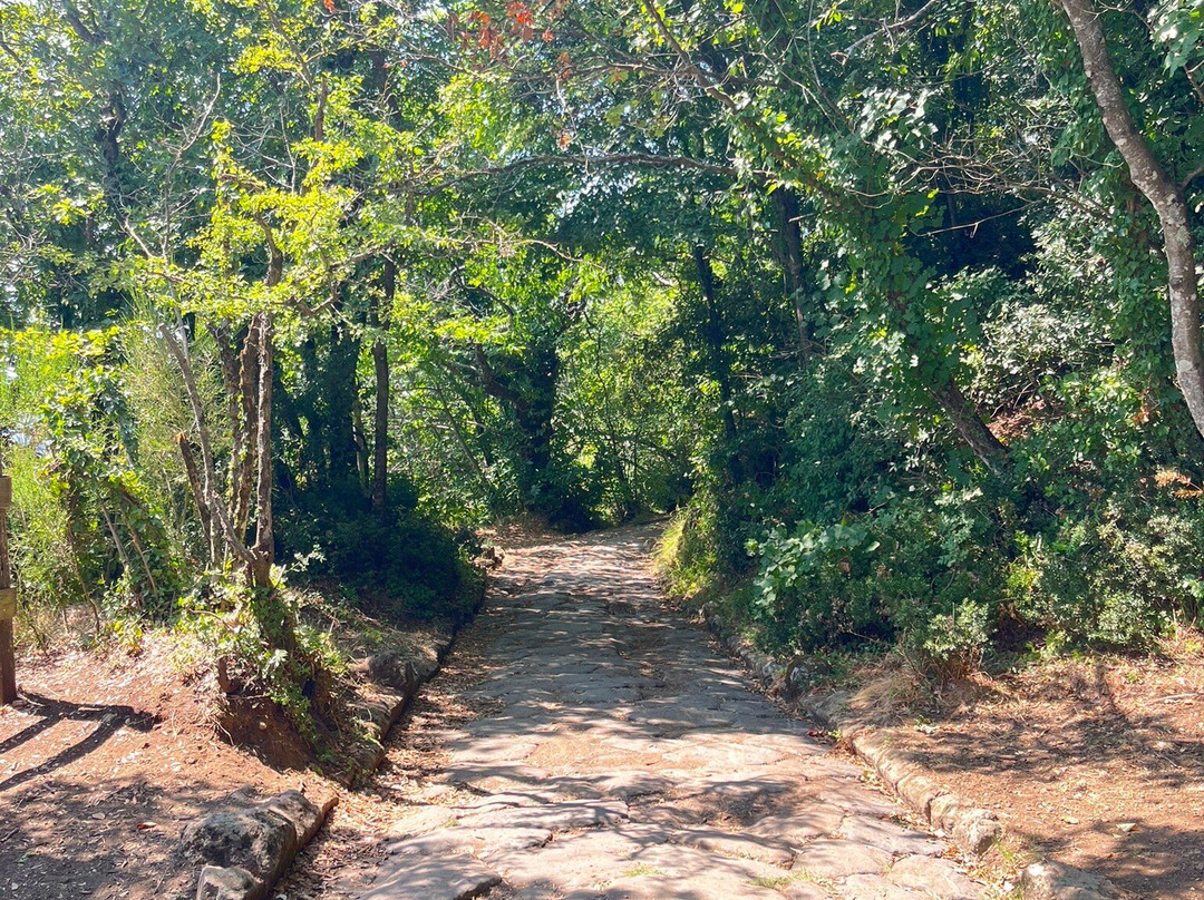 Monte Calvo-San Giovanni Rotondo必去景点