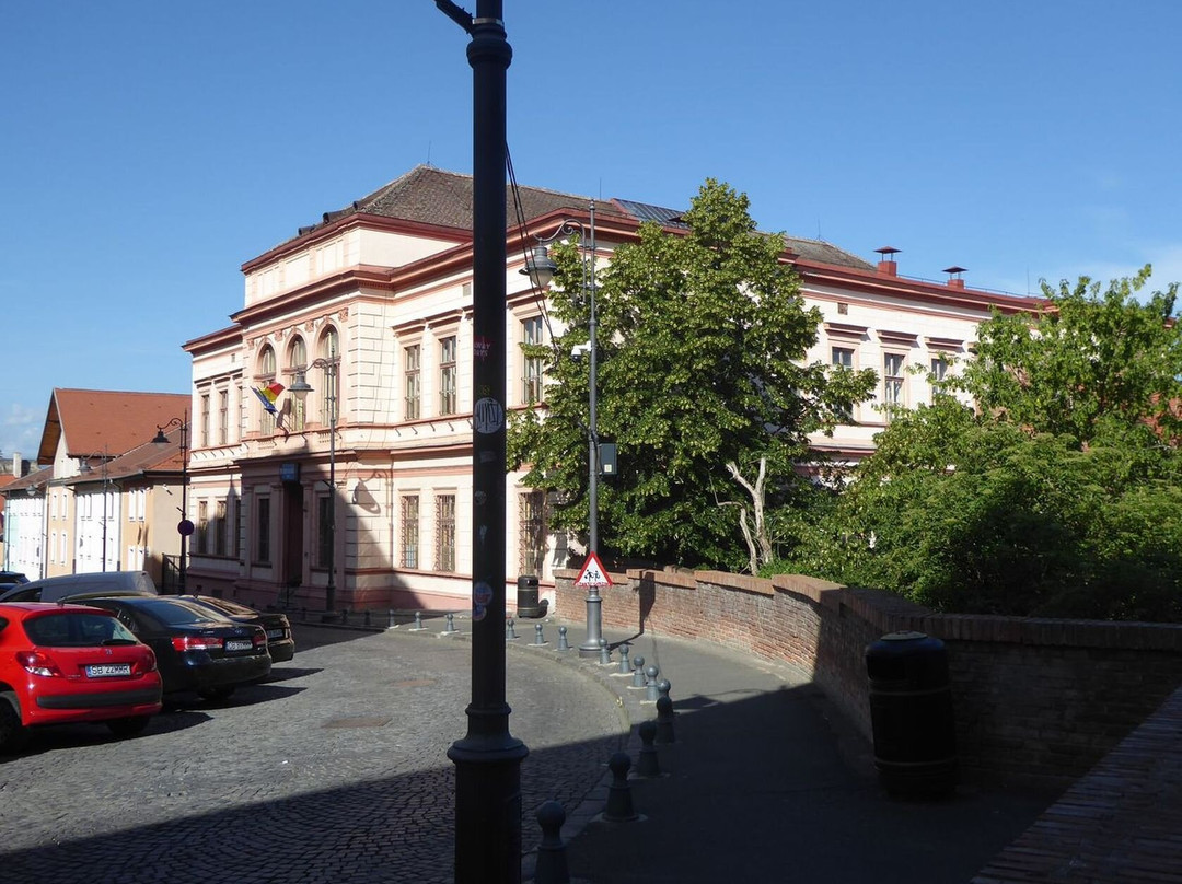 The Lower Town of Sibiu (Orasul de Jos)景点图片
