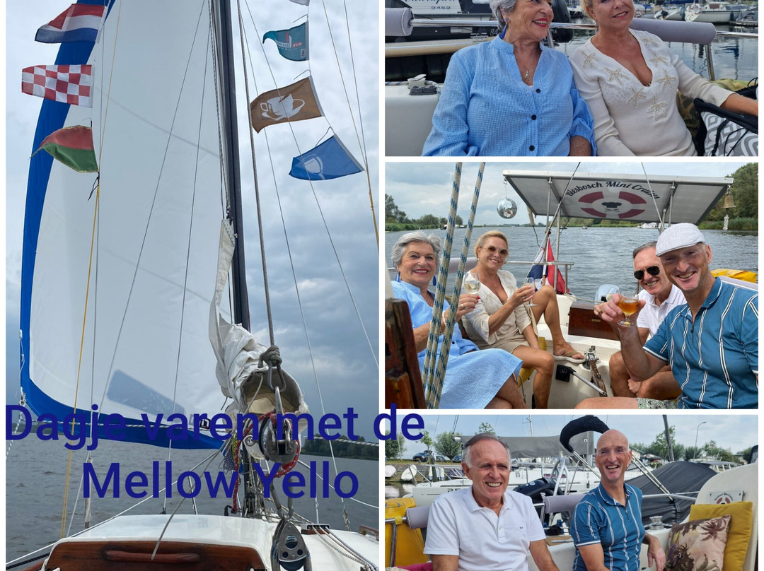 Biesbosch Mini Cruises景点图片