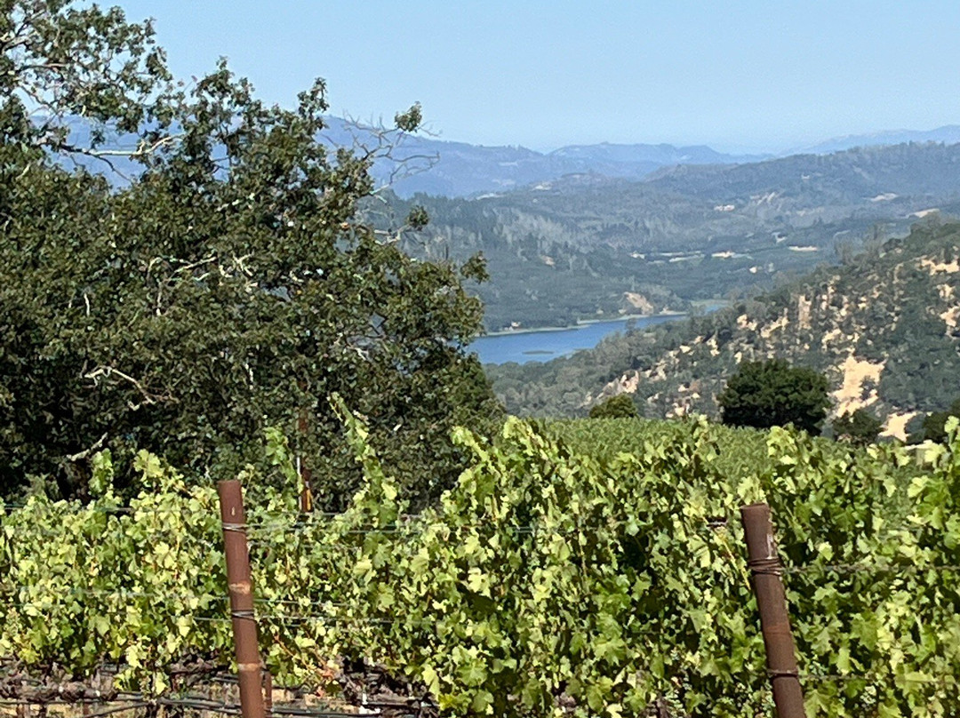 Chappellet Winery景点图片